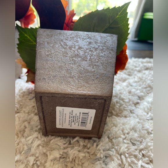 ⭐️ Set of 2 potted plant hydrangea/ranunculus. - Picture 7 of 11